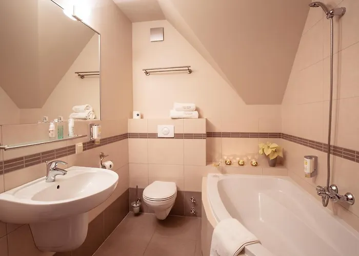 Elise Park Строне-Слёнске